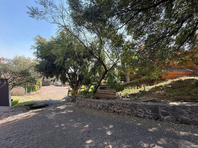 place photo 21