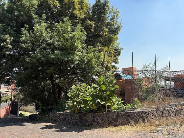 place photo 22