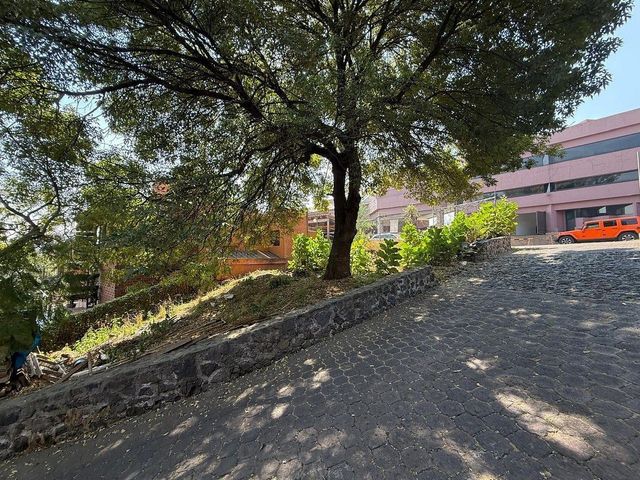 place photo 24