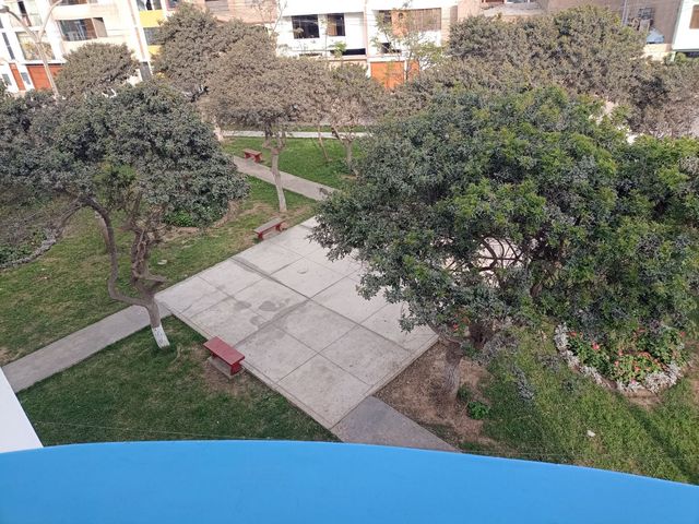 place photo 31