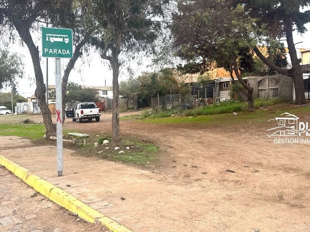 place photo 15