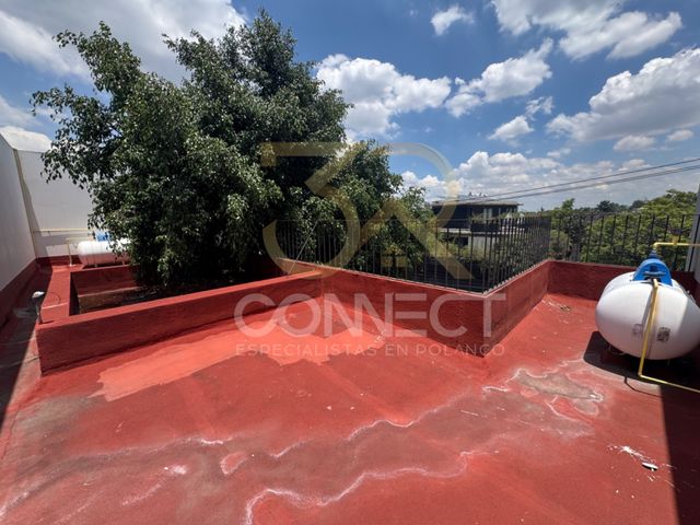 place photo 36