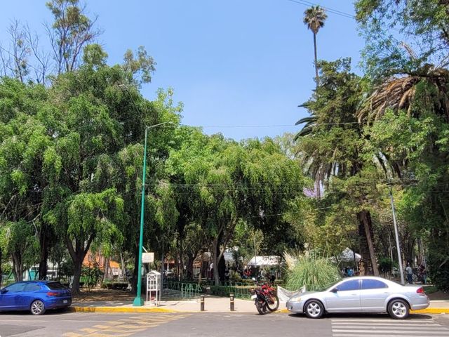 place photo 20