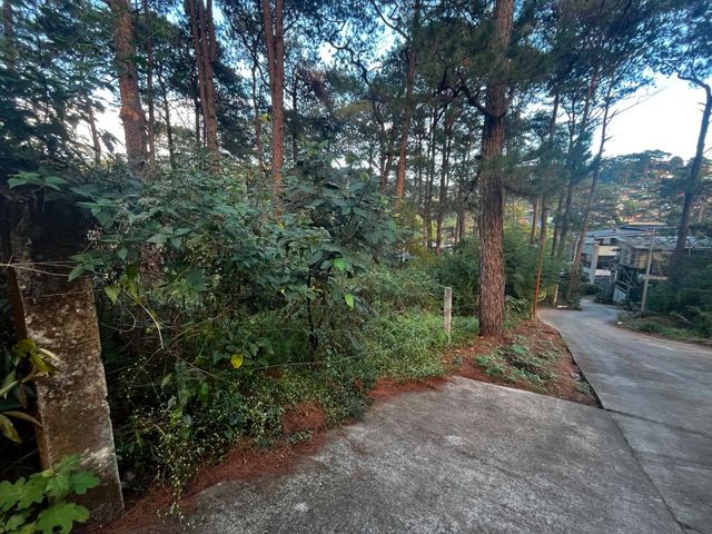 place photo 12