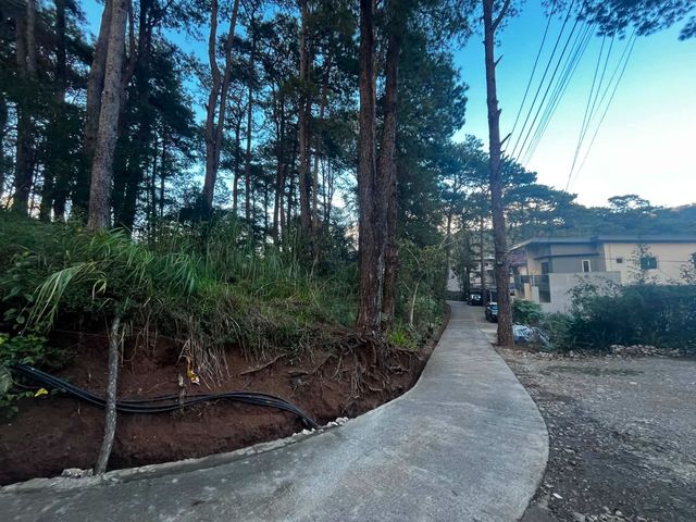 place photo 17