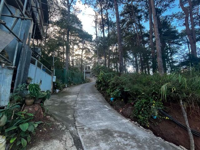 place photo 18