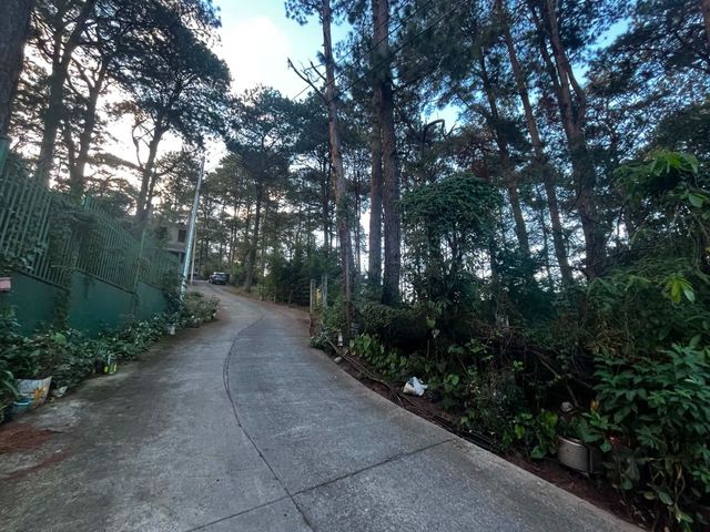 place photo 19
