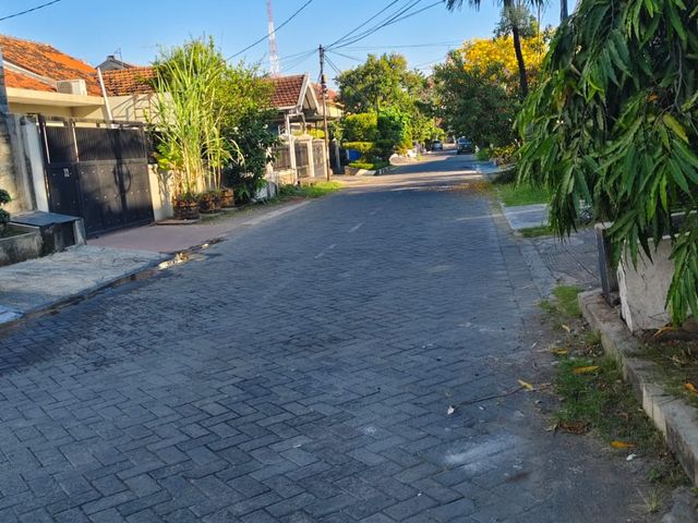 place photo 10