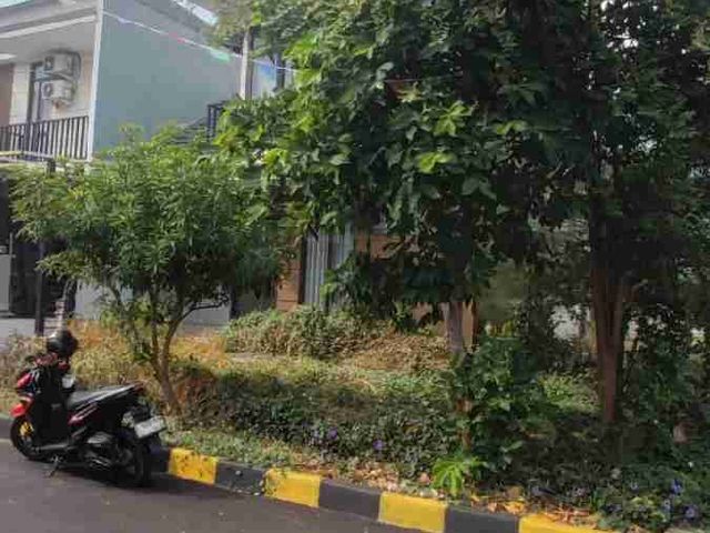 place photo 12