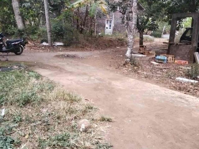 place photo 2