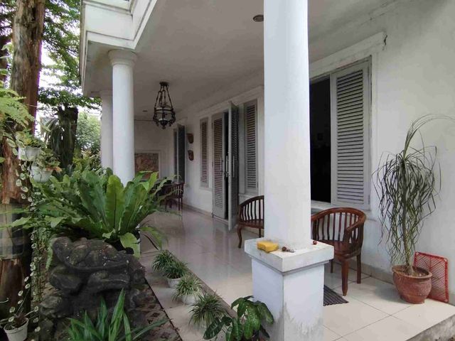 place photo 11