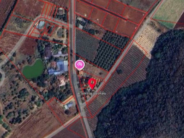 place photo 15
