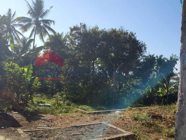 place photo 25
