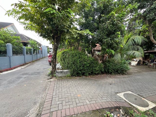 place photo 10