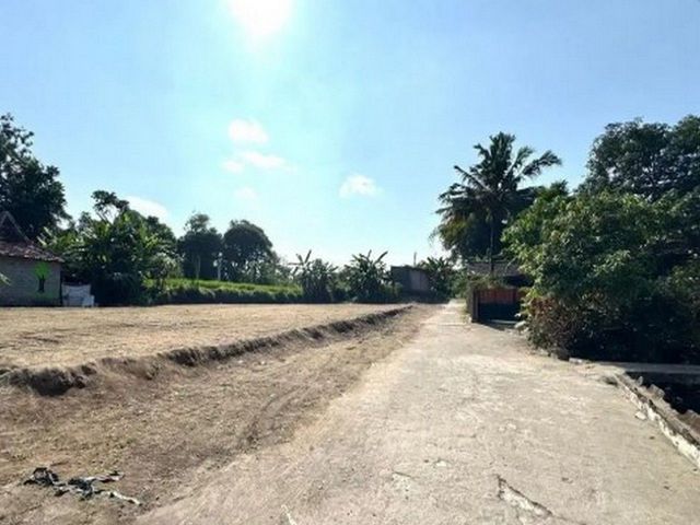 place photo 8