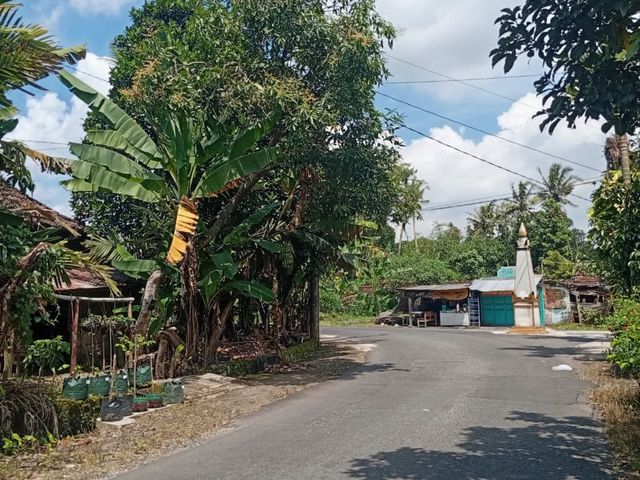 place photo 3