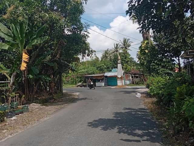 place photo 4