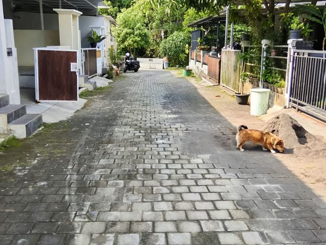place photo 4