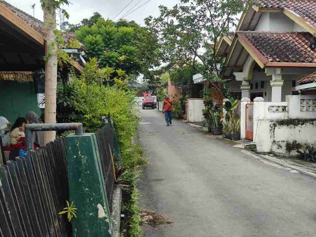 place photo 30