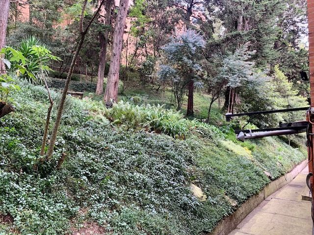 place photo 47