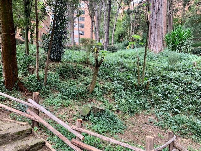 place photo 46