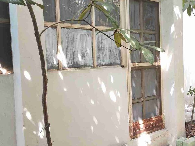 place photo 49