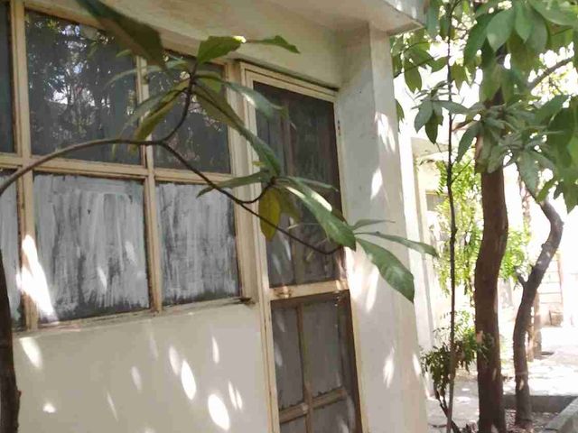 place photo 50