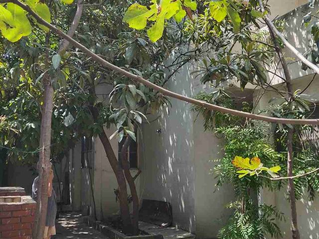 place photo 46