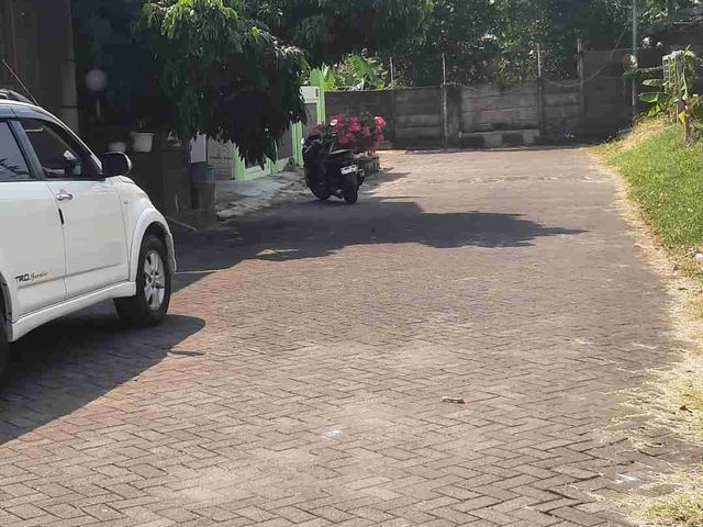 place photo 6