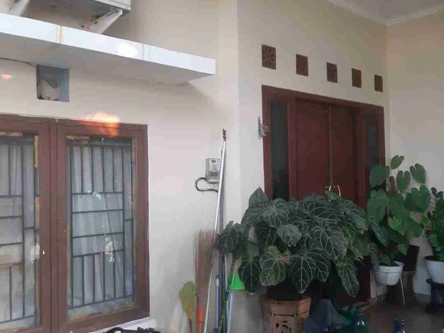 place photo 17
