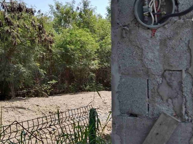 place photo 42