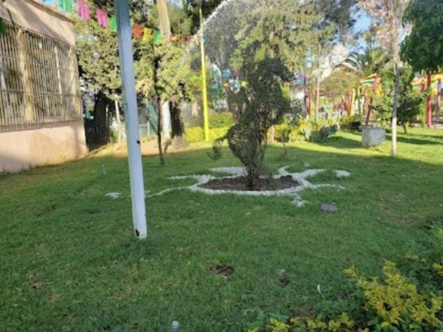 place photo 8