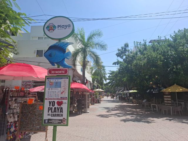 place photo 14