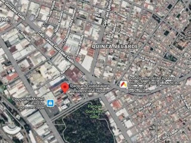place photo 18
