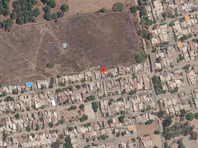 place photo 8