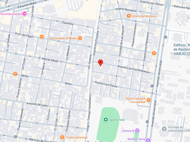 place photo 7