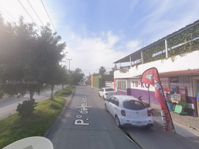 place photo 12
