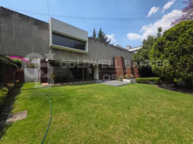 place photo 42