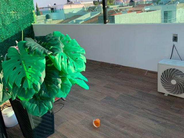 place photo 33