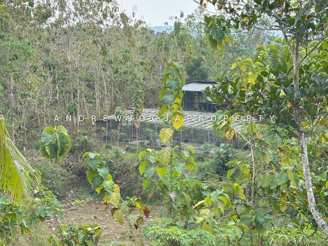 place photo 20