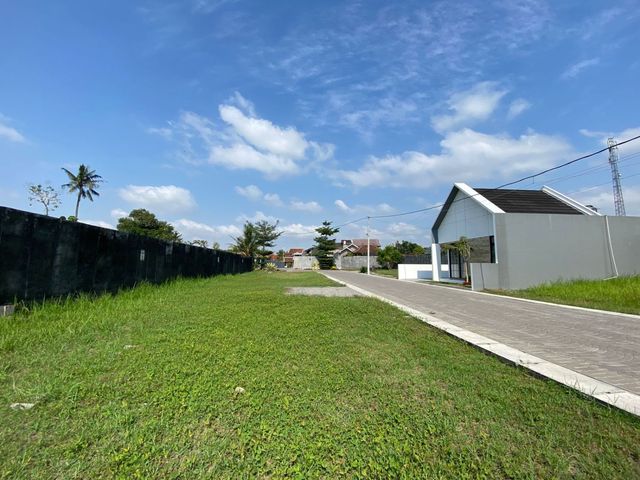 place photo 11