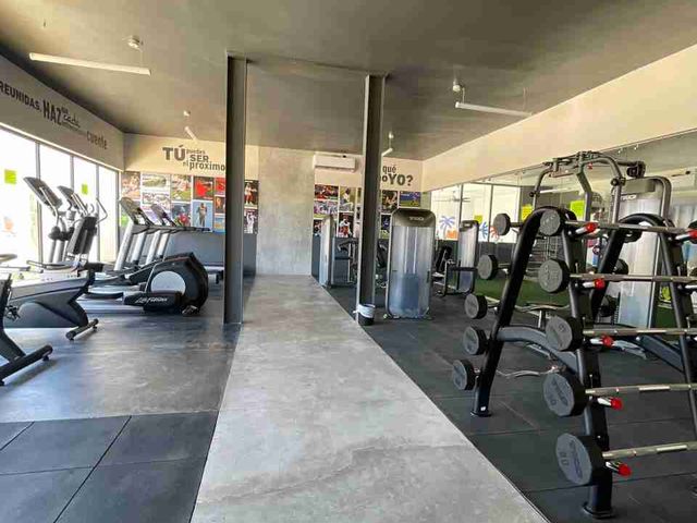 place photo 16