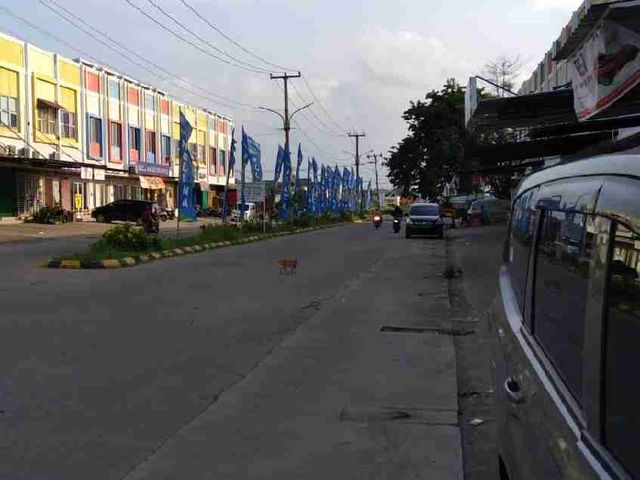 place photo 11