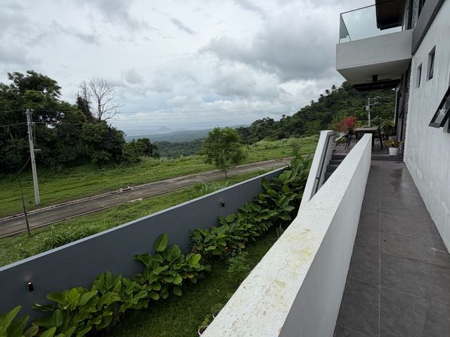 place photo 61