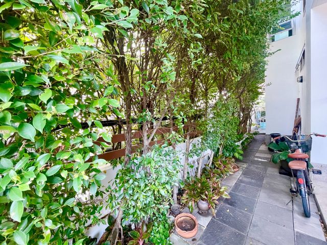 place photo 37