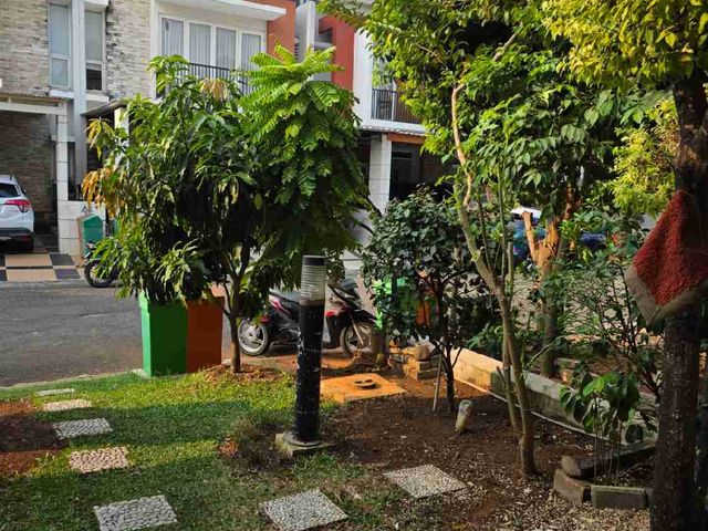 place photo 12