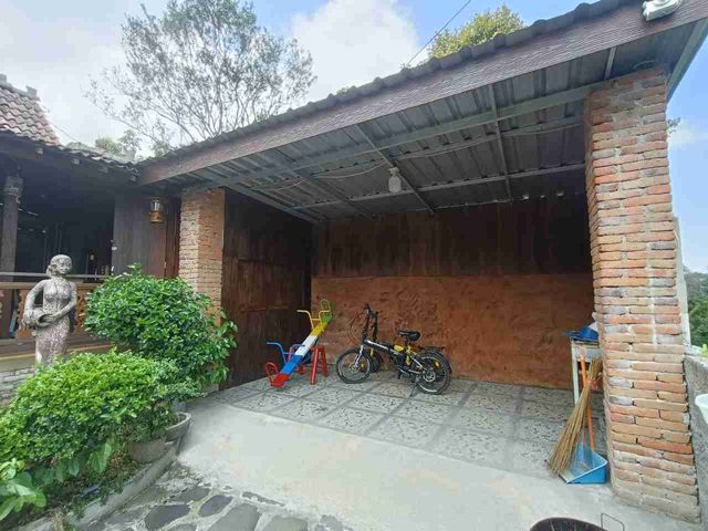 place photo 23
