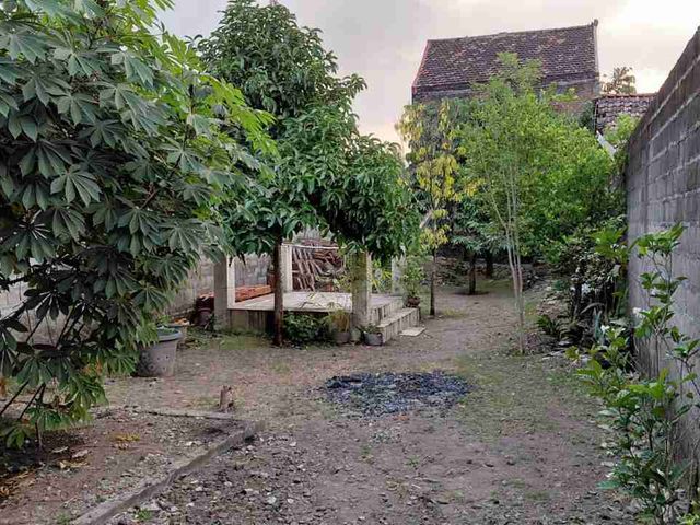 place photo 2