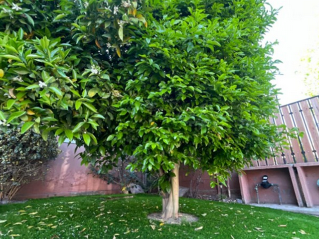 place photo 15