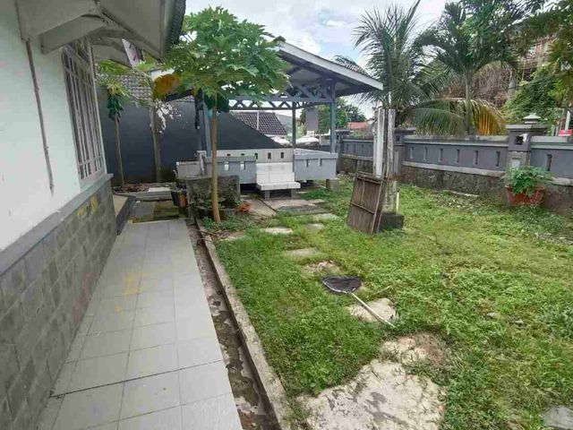 place photo 19